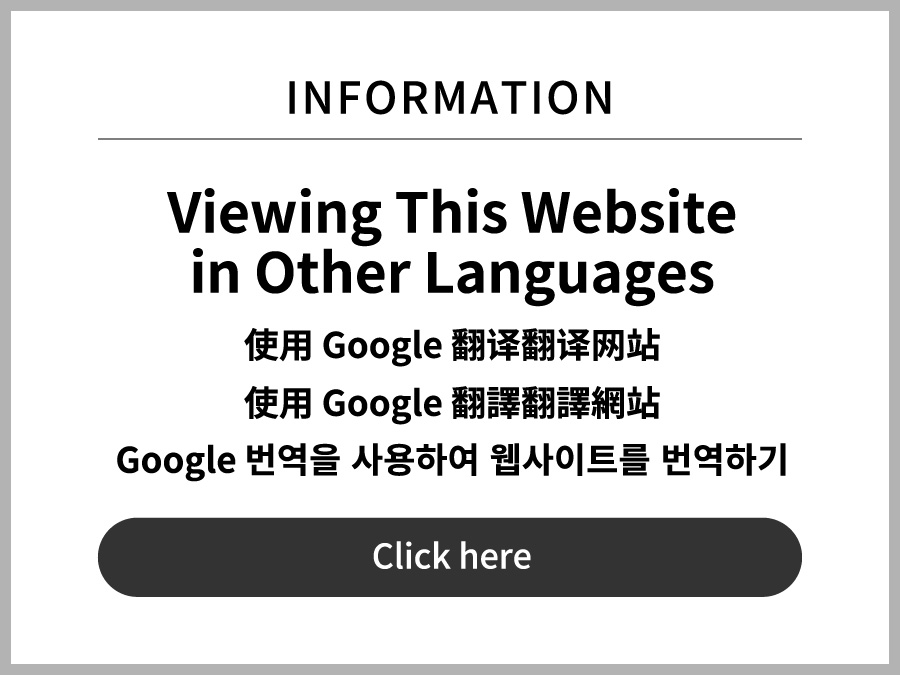 Viewing This Website in Other Languages